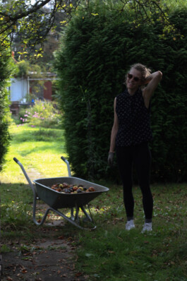 Gambo Garten